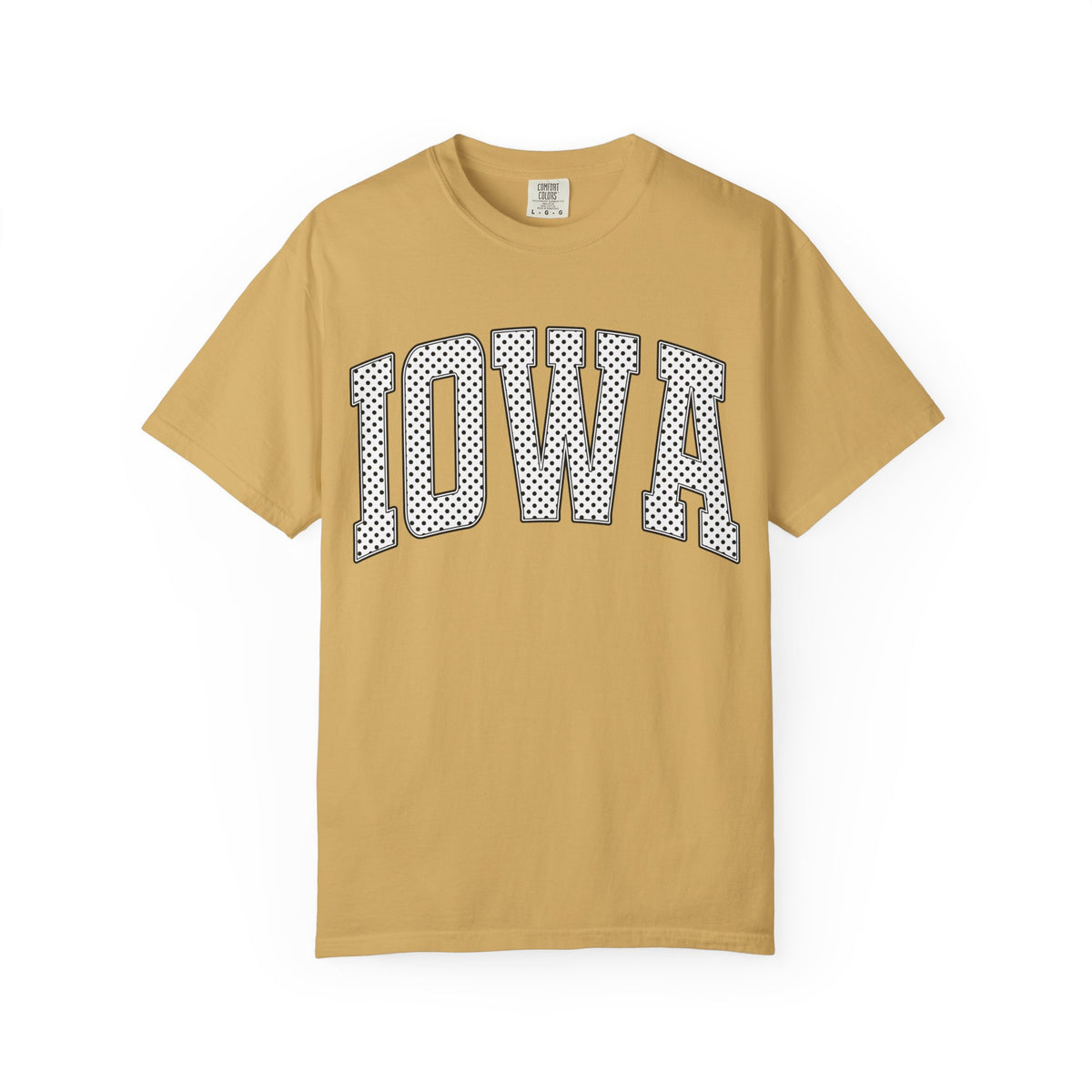 Iowa Retro Polka Dot Mesh Lettering Color Comfort T-Shirt