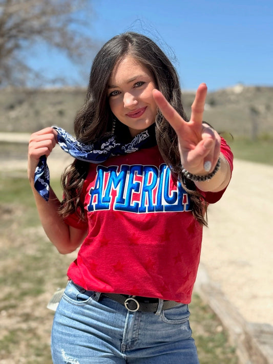 America in Blue Metallic Puff Tee