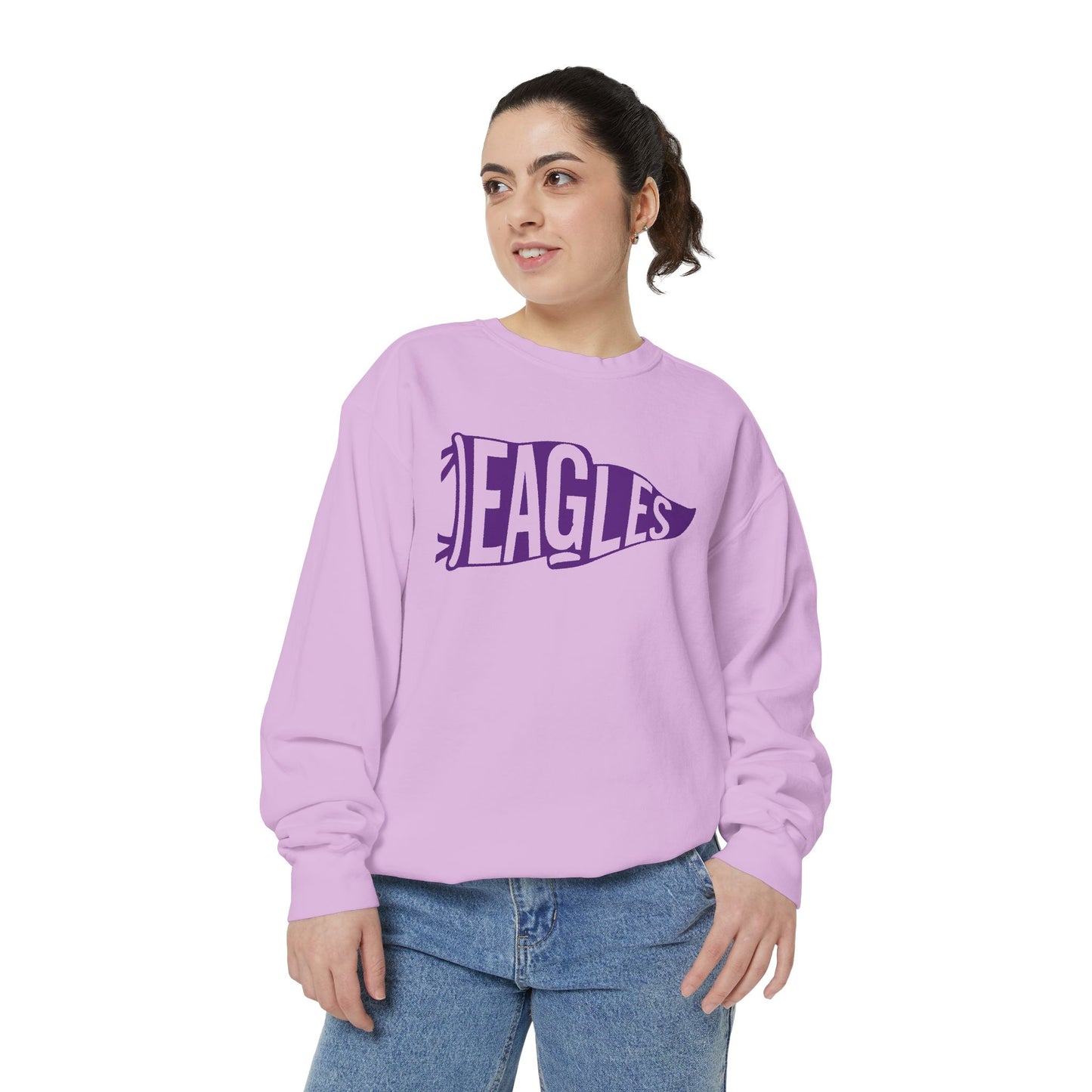 Eagles Pennant Crewneck Sweatshirt — Vintage College Sports Pullover