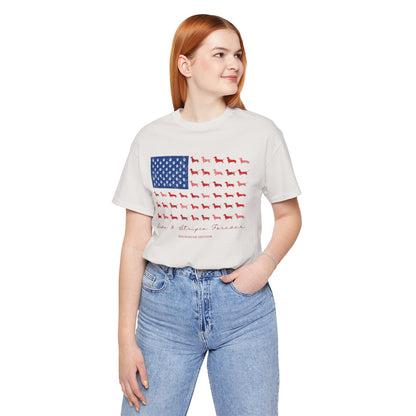 Paws and Stripes Forever Patriotic Dachshund Flag T‑Shirt — American Dog Lover Tee