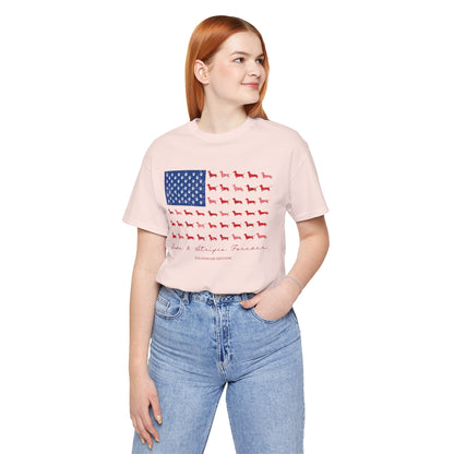 Paws and Stripes Forever Patriotic Dachshund Flag T‑Shirt — American Dog Lover Tee