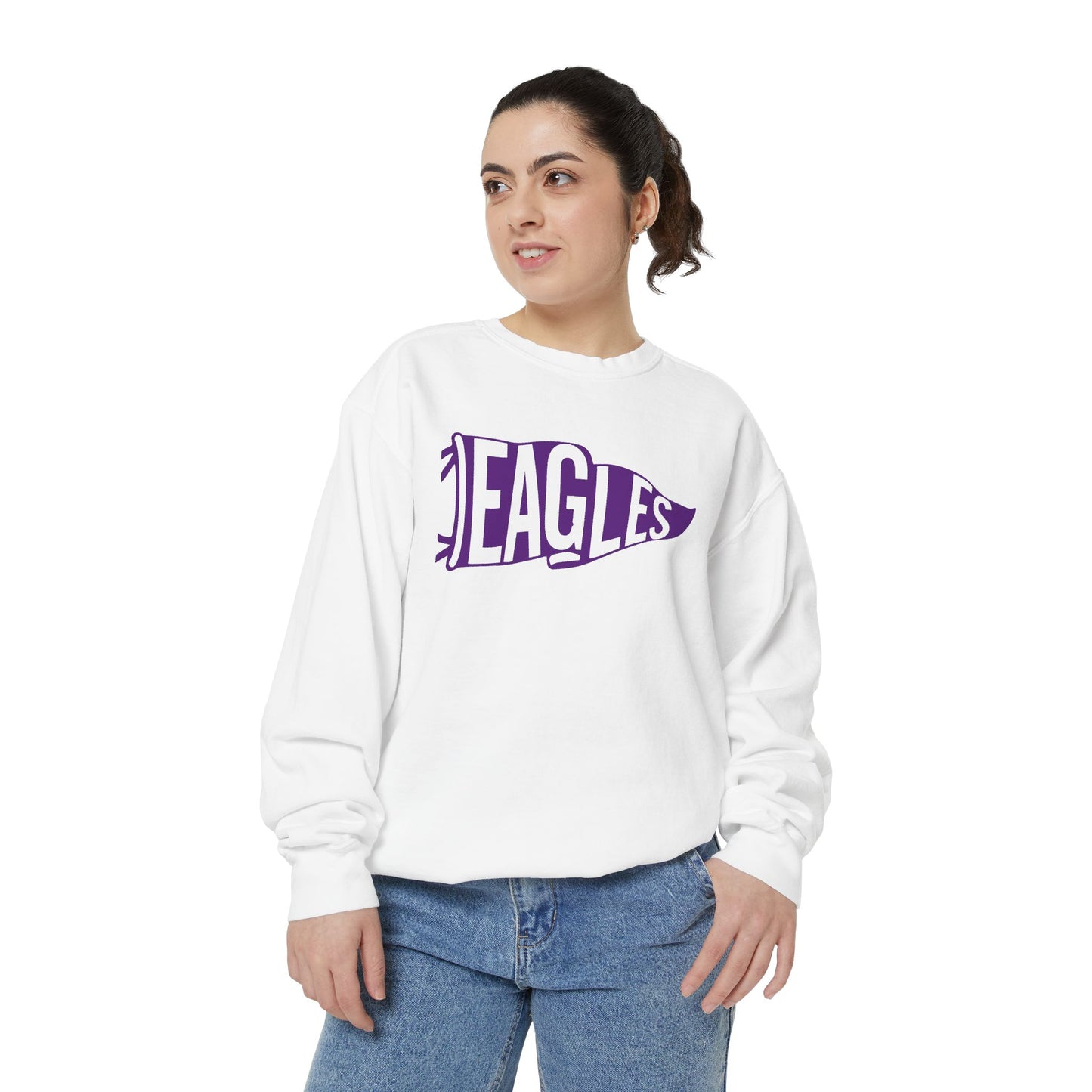 Eagles Pennant Crewneck Sweatshirt — Vintage College Sports Pullover