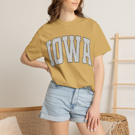 Iowa Retro Polka Dot Mesh Lettering Color Comfort T-Shirt
