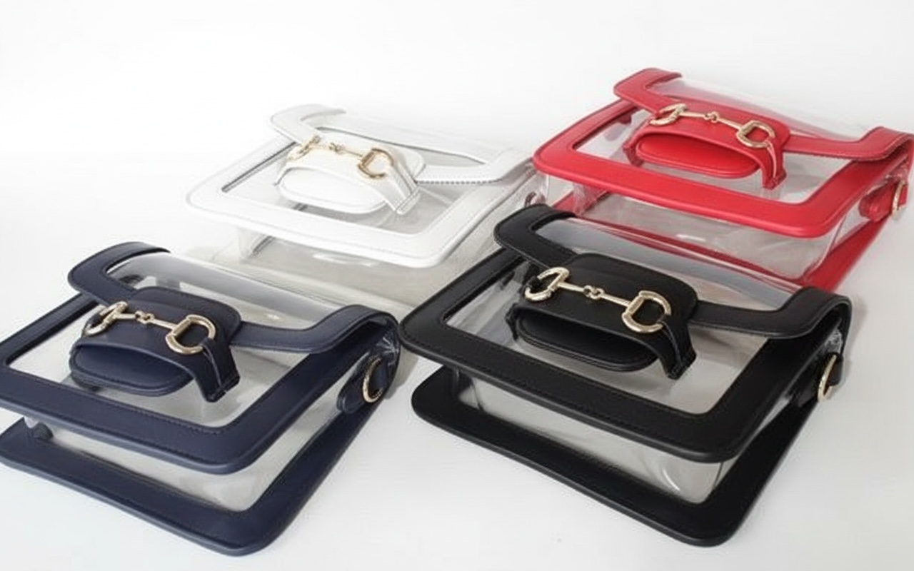 The Ashley Clear Handbag