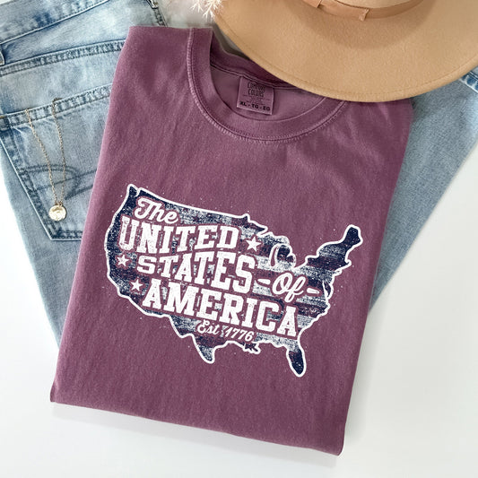 United States Of America Patriotic 4th Of July Flag Design Vintage Distressed Style Comfort Colors Tee